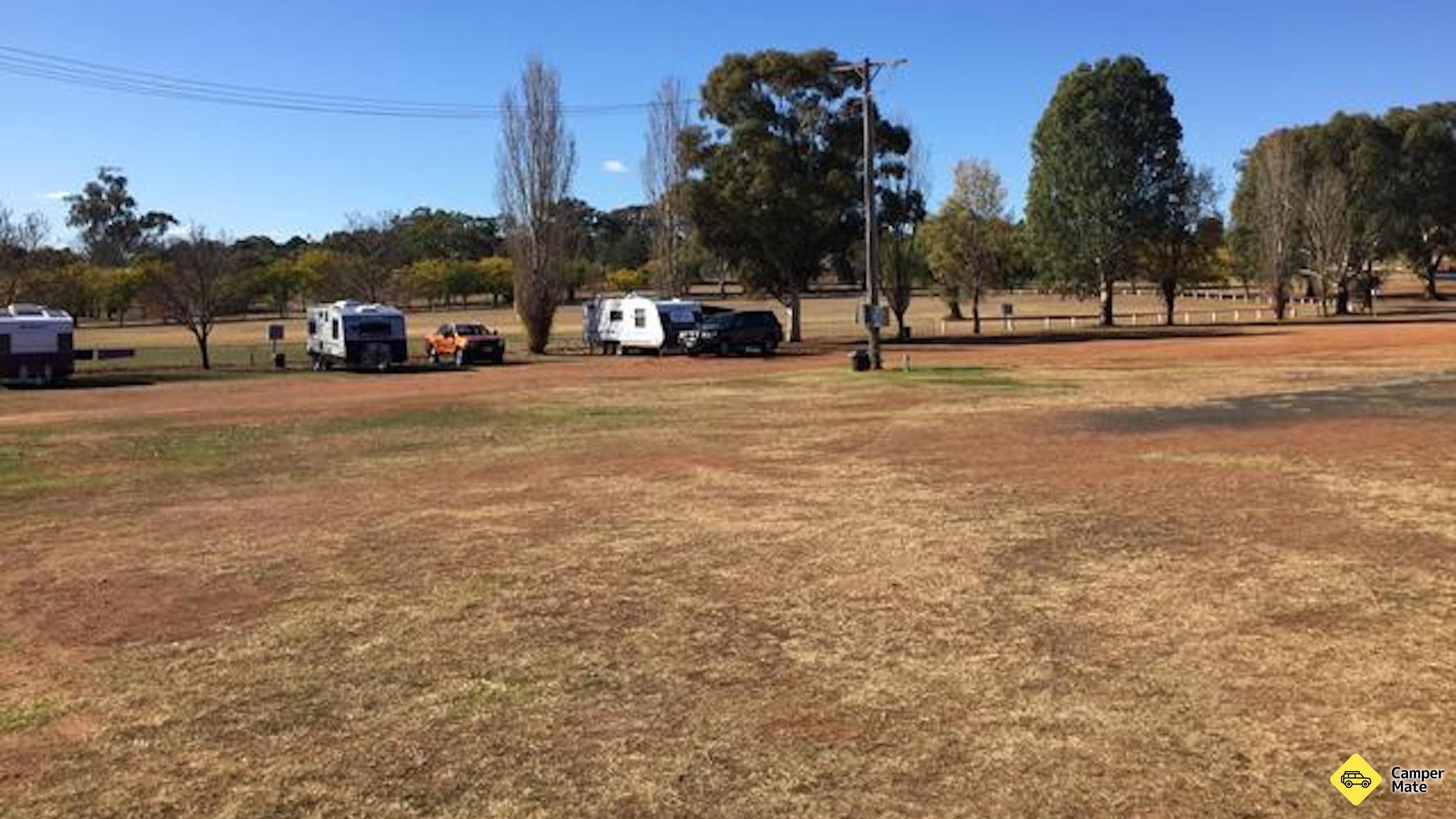 Pertunjukan Gulgong