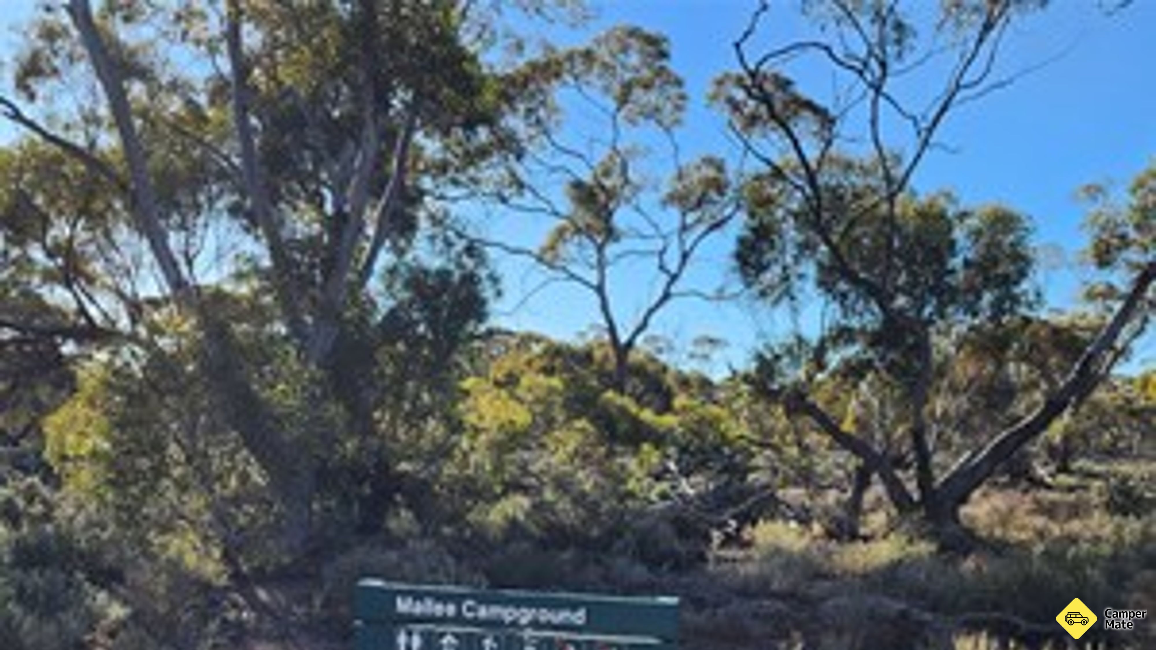 Mallee Camp Area, Redbanks Conservation Park