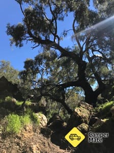 Stockyard Gully Caves
