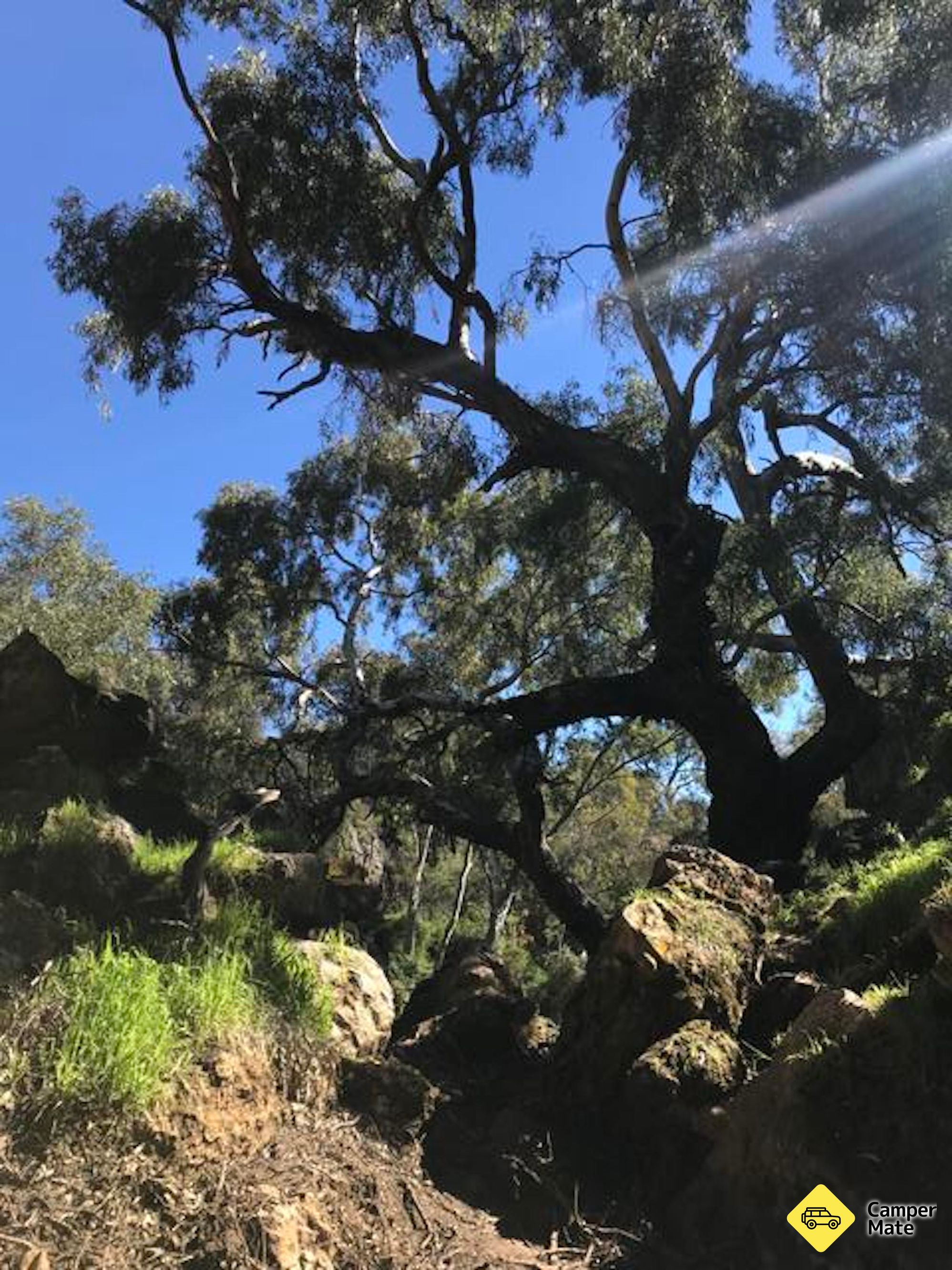 Stockyard Gully Caves