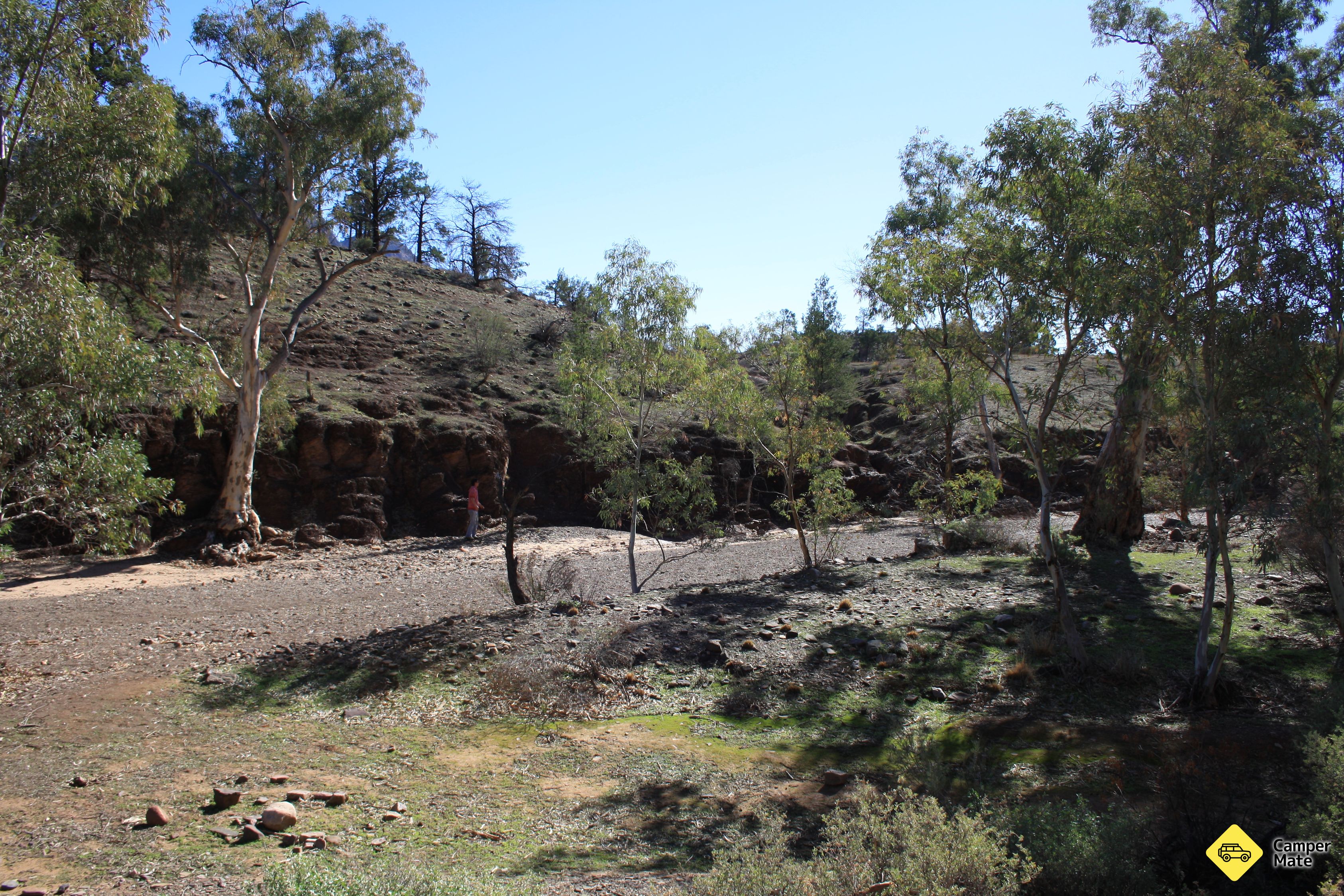 Das Brachina East Campground