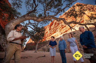 RT Tours Australia - Mbantua Sunset And Starlight Bush Dinner