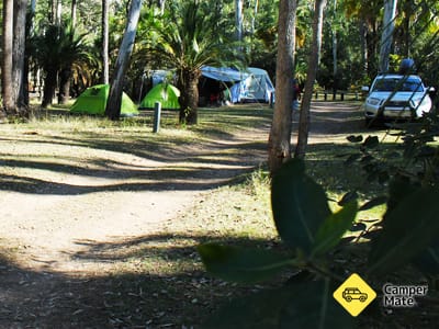 Le camping de Carnarvon Gorge