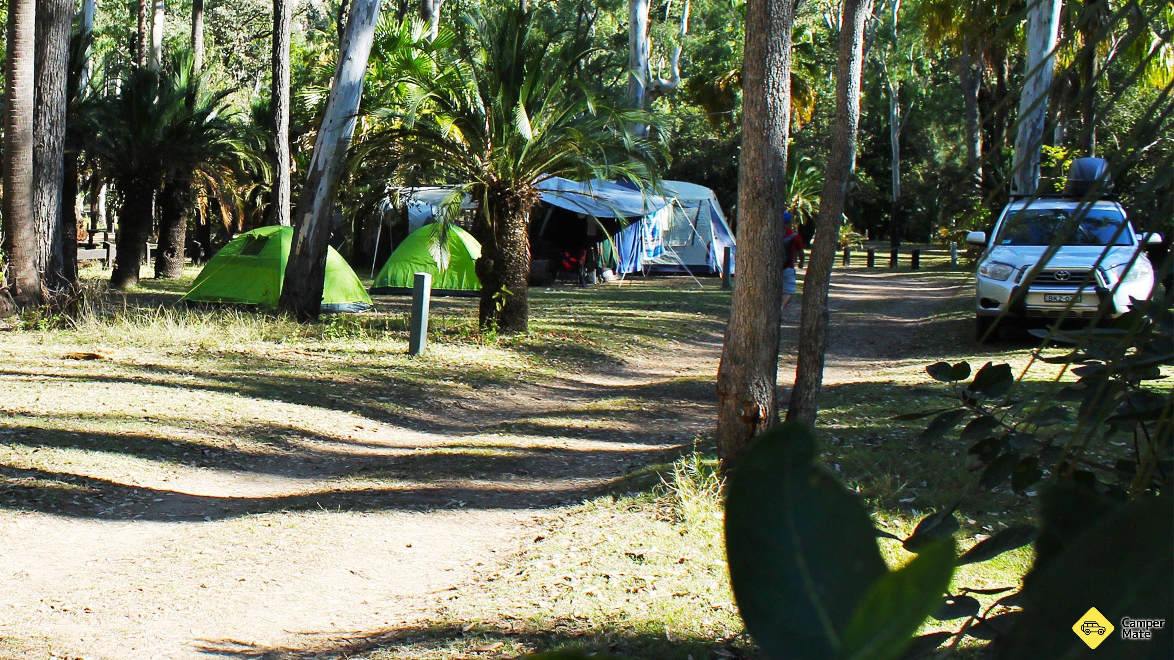 Le camping de Carnarvon Gorge