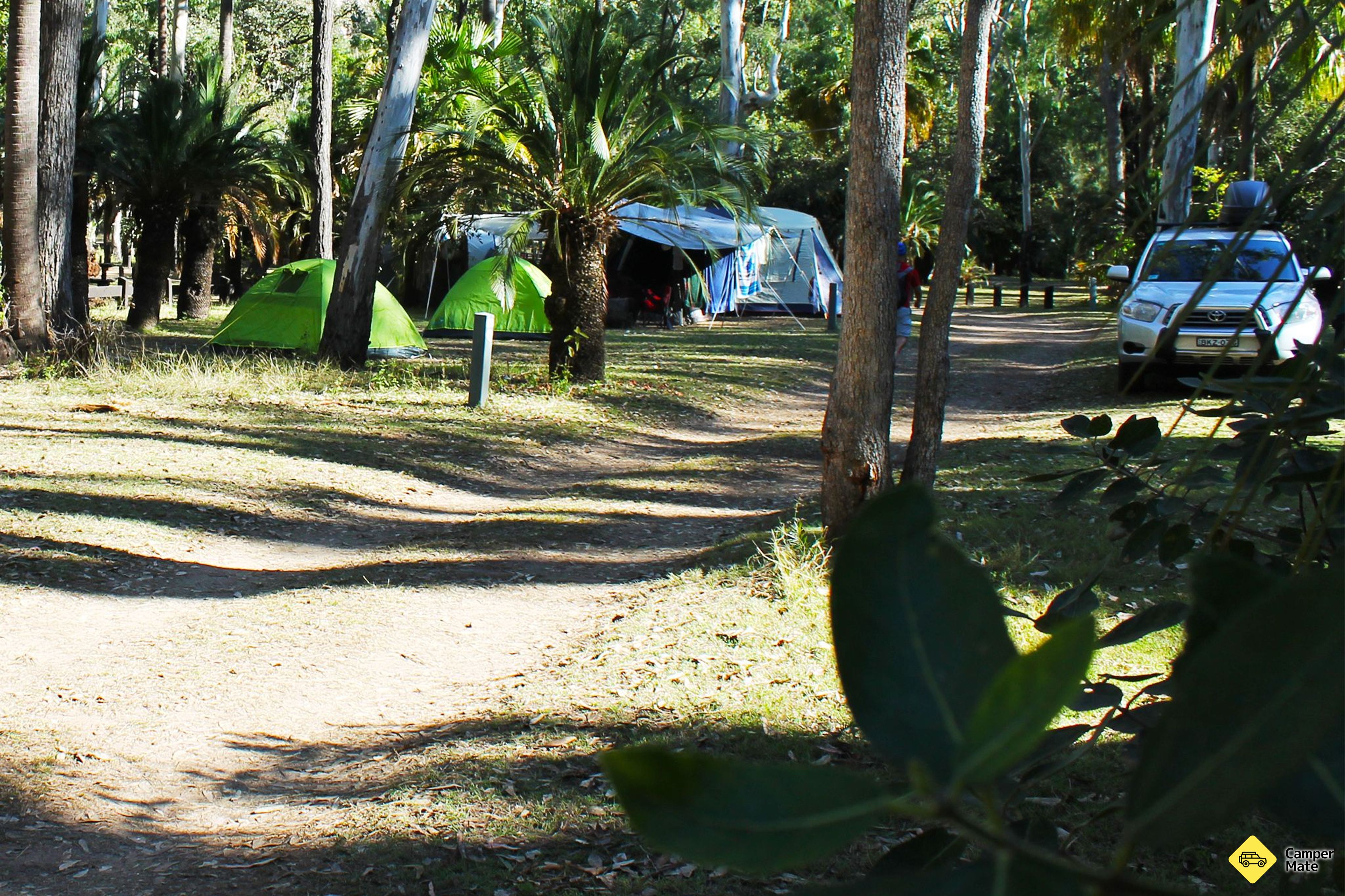 Le camping de Carnarvon Gorge