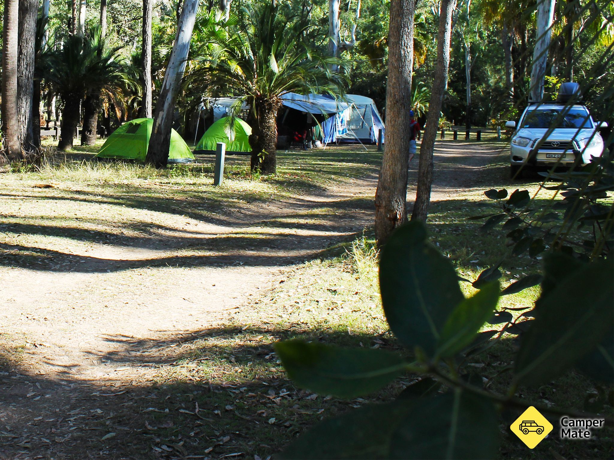 Carnarvon Gorge Camping Area