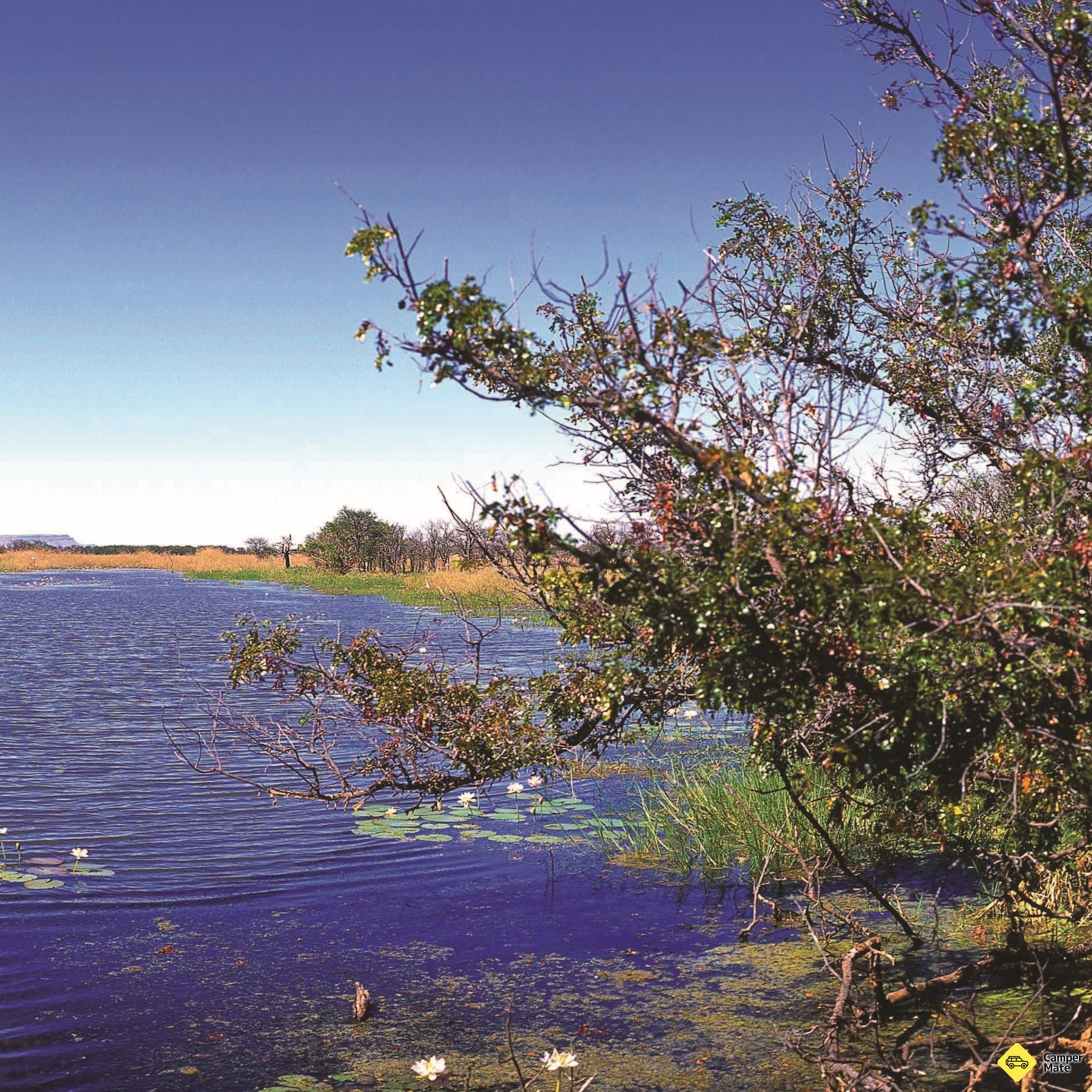 Aktiviteter i nærheden af Parry Lagoons Nature Reserve - Image 2