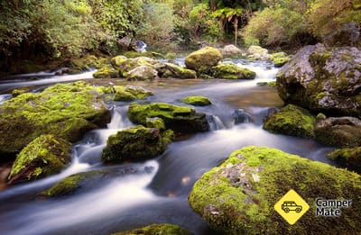 Riuwaka Resurgence Walk and Swimming Hole