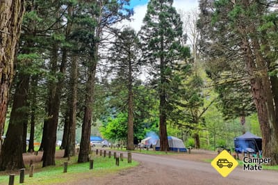 Stevenson Falls Camping Reserve, Great Otway State Park