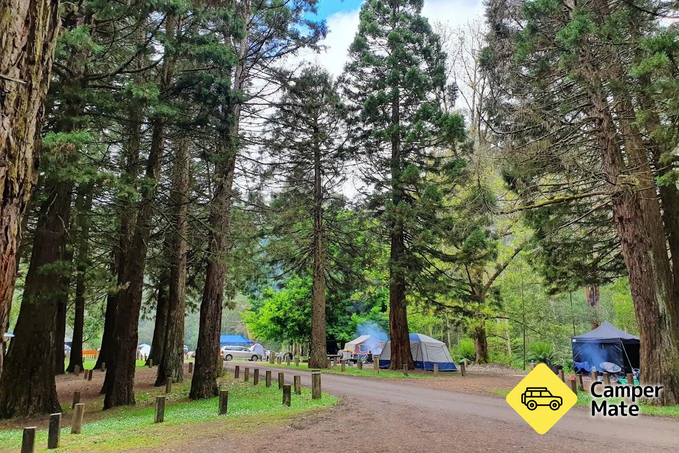 Stevenson Falls Camping Reserve, Great Otway State Park
