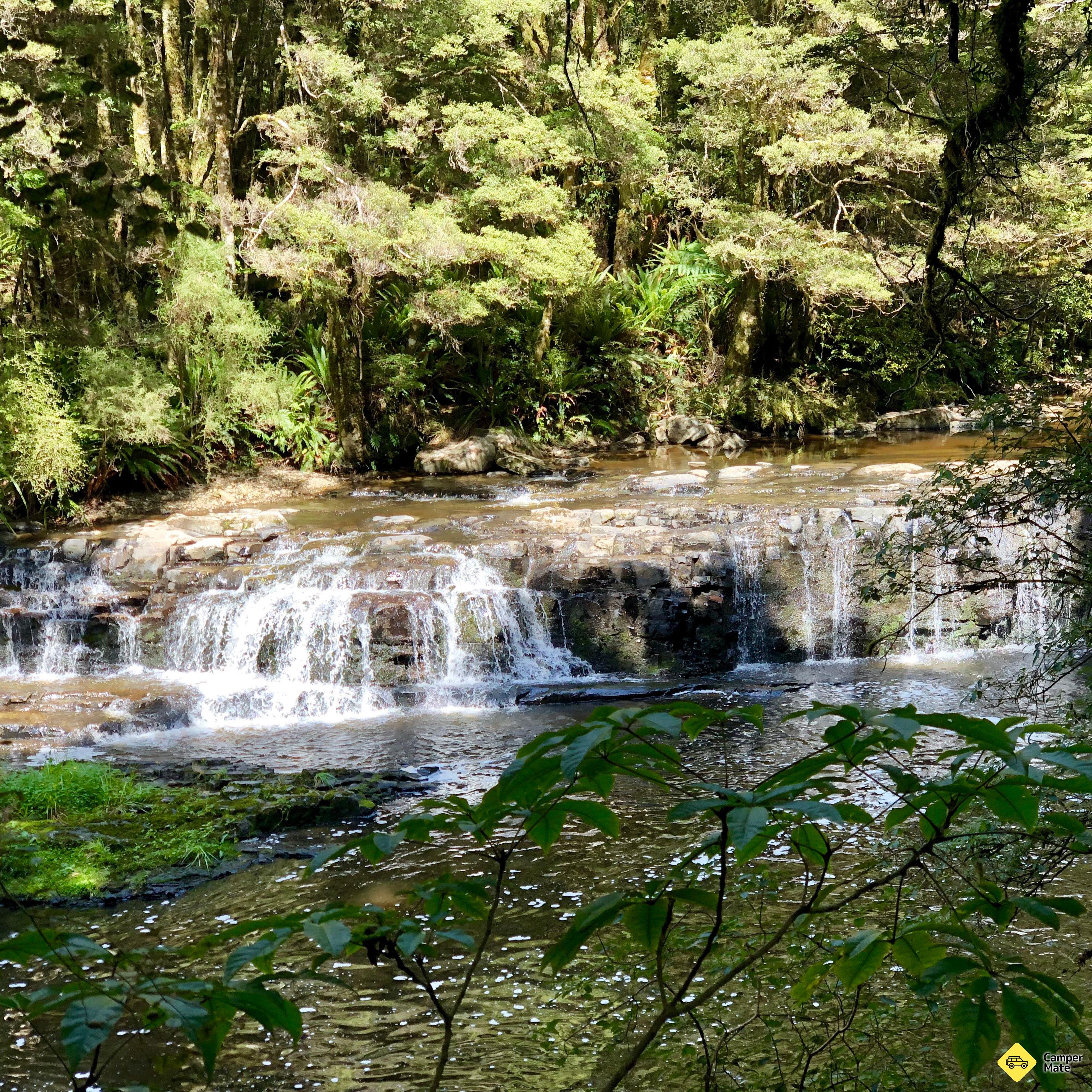 Passeggiata a Catlins River - Image 2