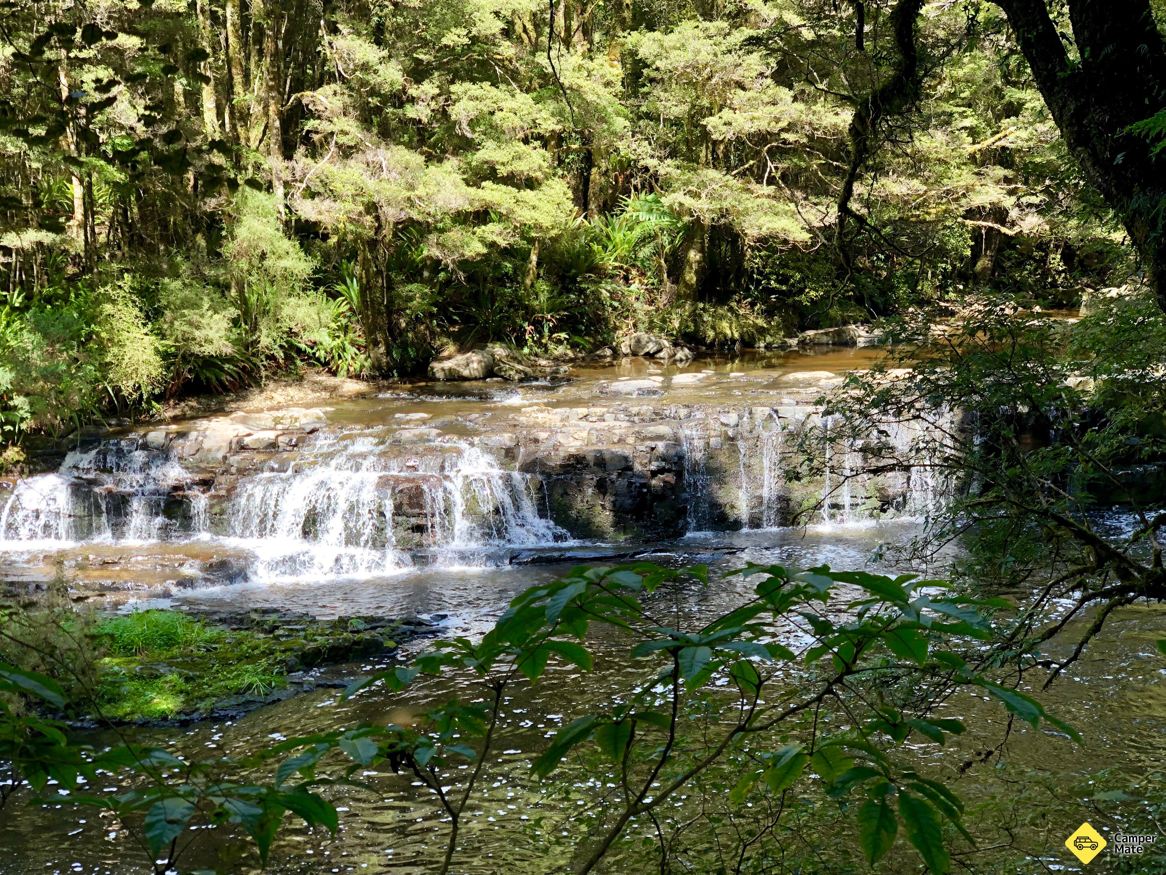 Passeggiata a Catlins River - Image 2