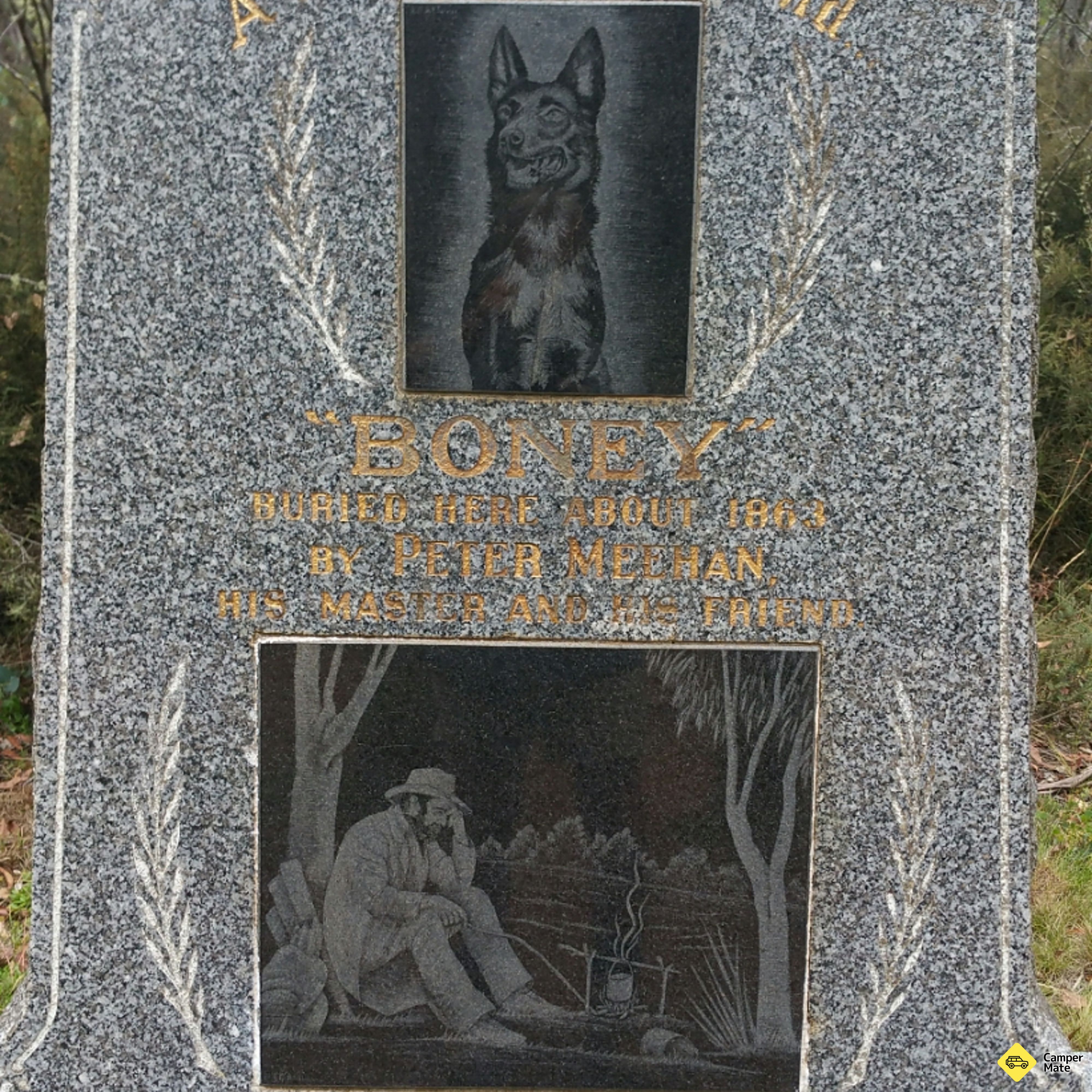 Psi na hřbitově - Image 2
