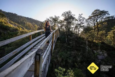 Rangiwahia Hut Track