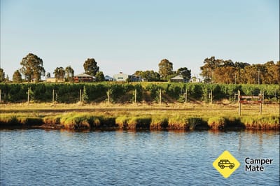 Swan Valley Food and Wine Drive Trail के बारे में टिप्पणियाँ