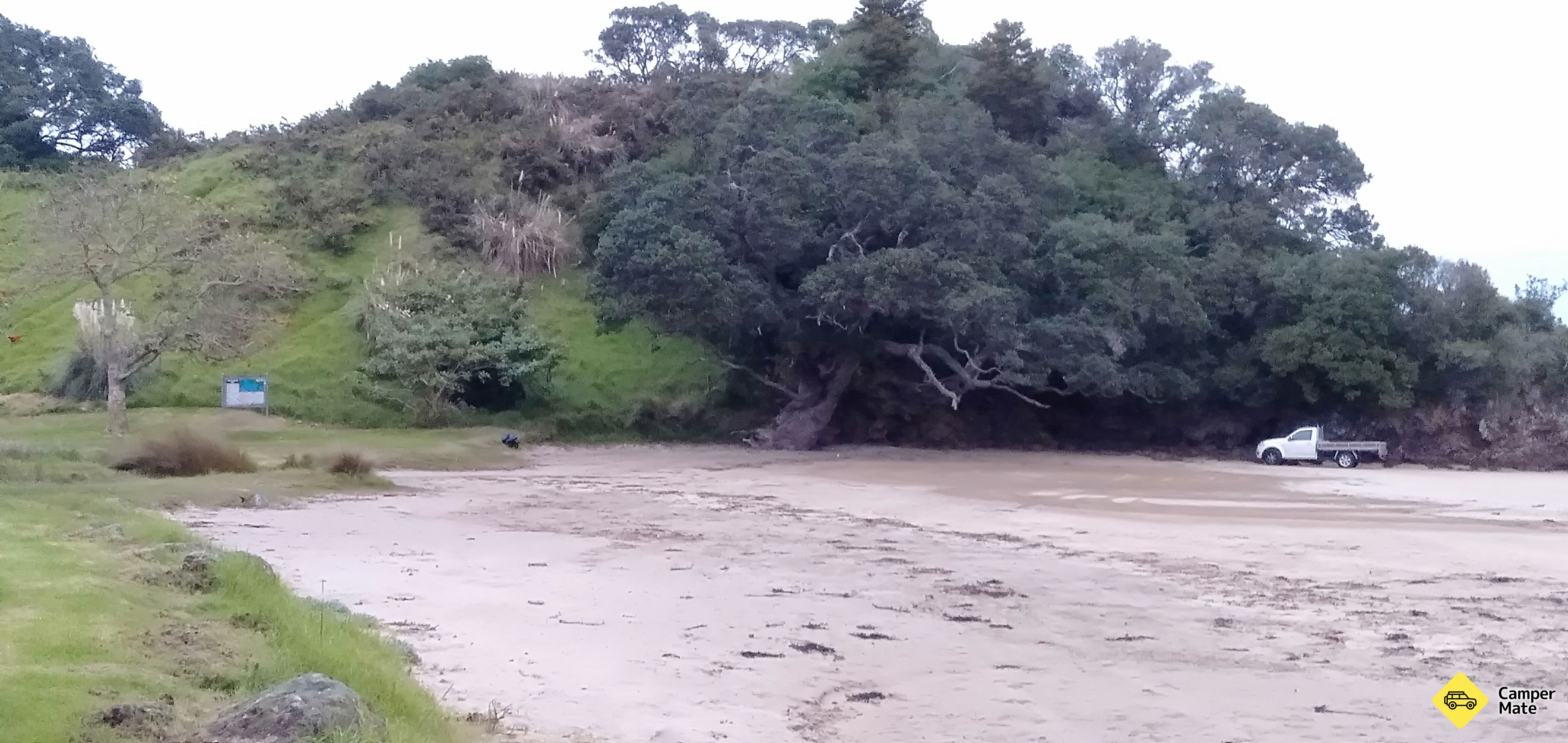 Wellingtons Bay - main reserve (Whangaumu Reserve) - Image 3