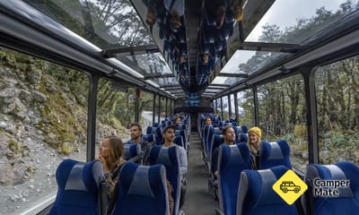 Milford Sound Coach and Cruise from Queenstown