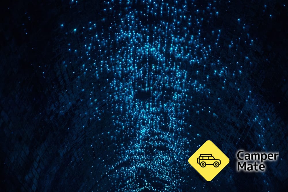Helensburgh Glow Worm Tunnel - Image 2
