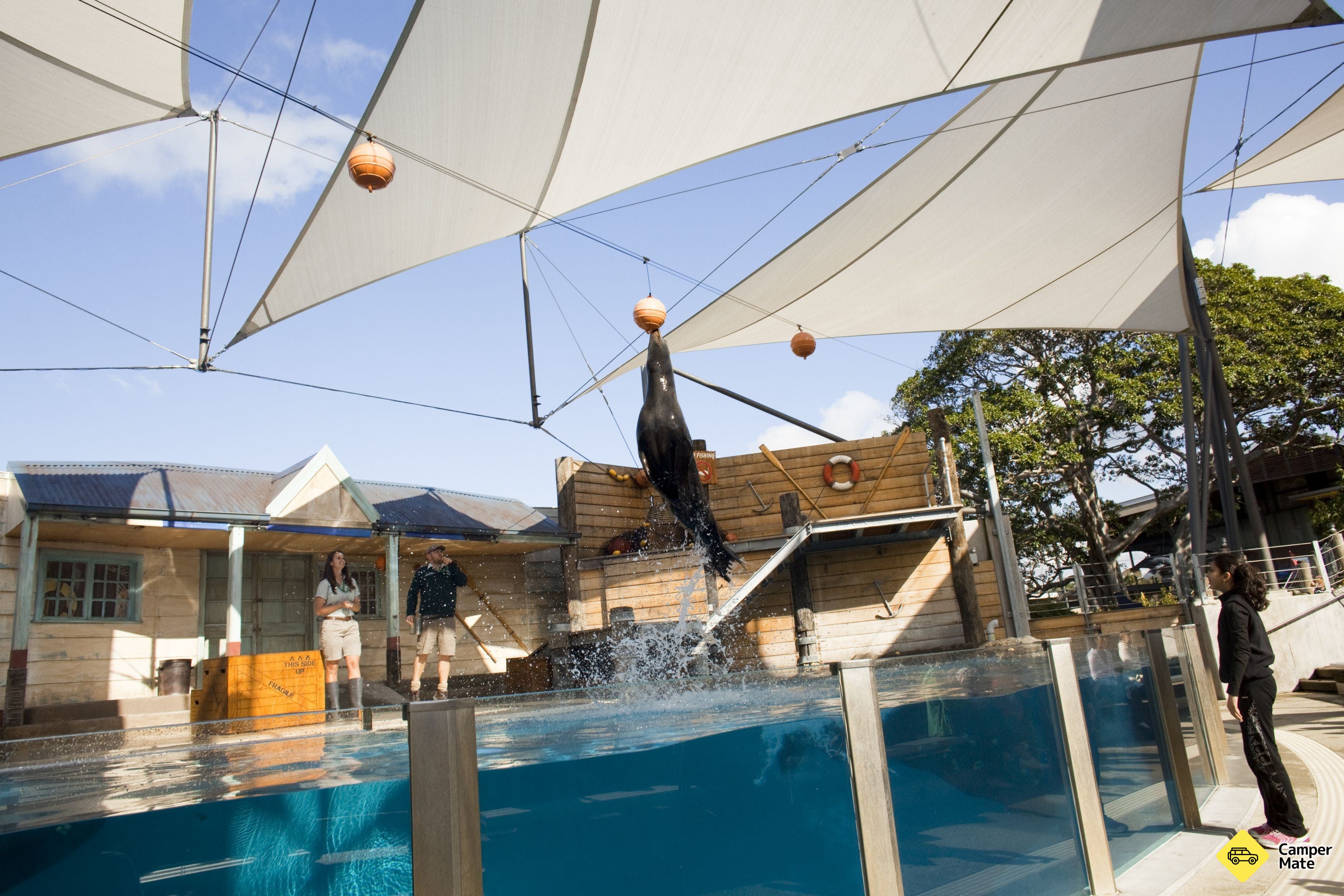 El zoológico de Taronga