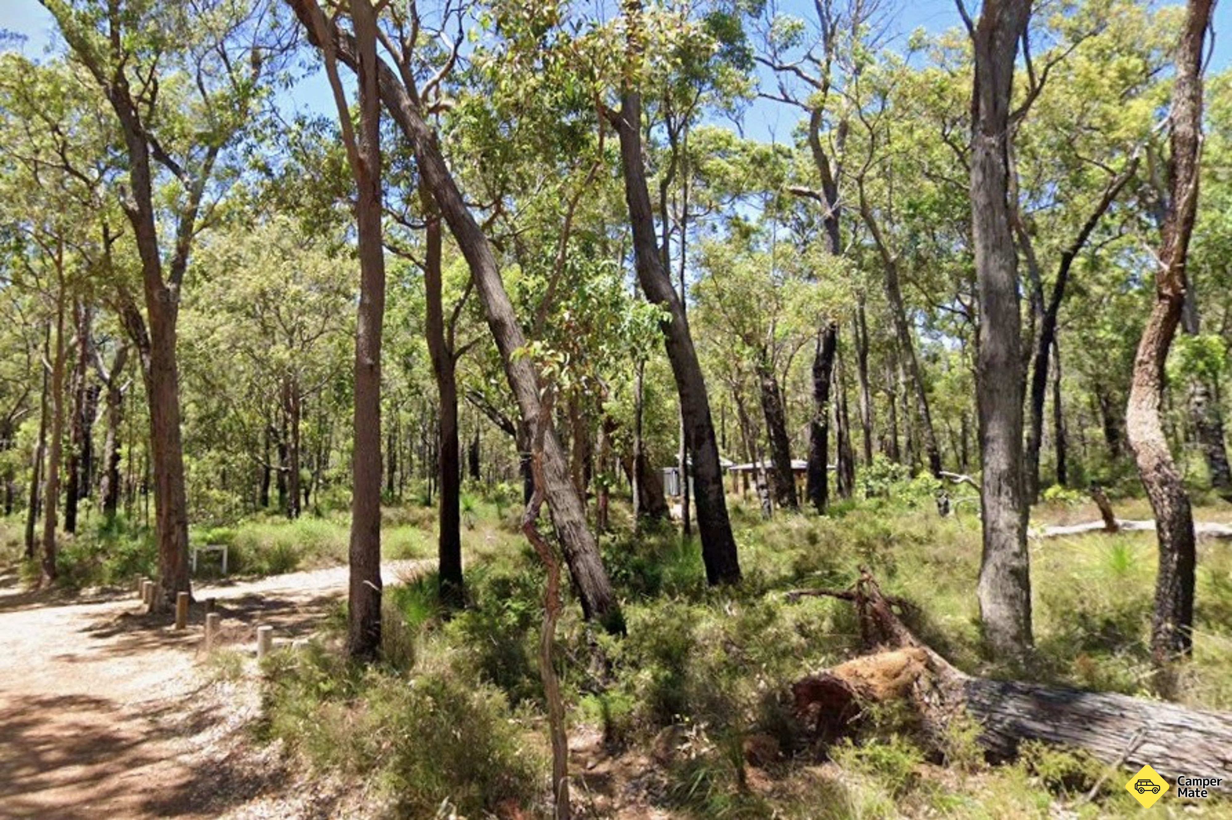 Monte Lennard