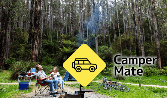 Little River Junction Camp Area - Snowy River NP