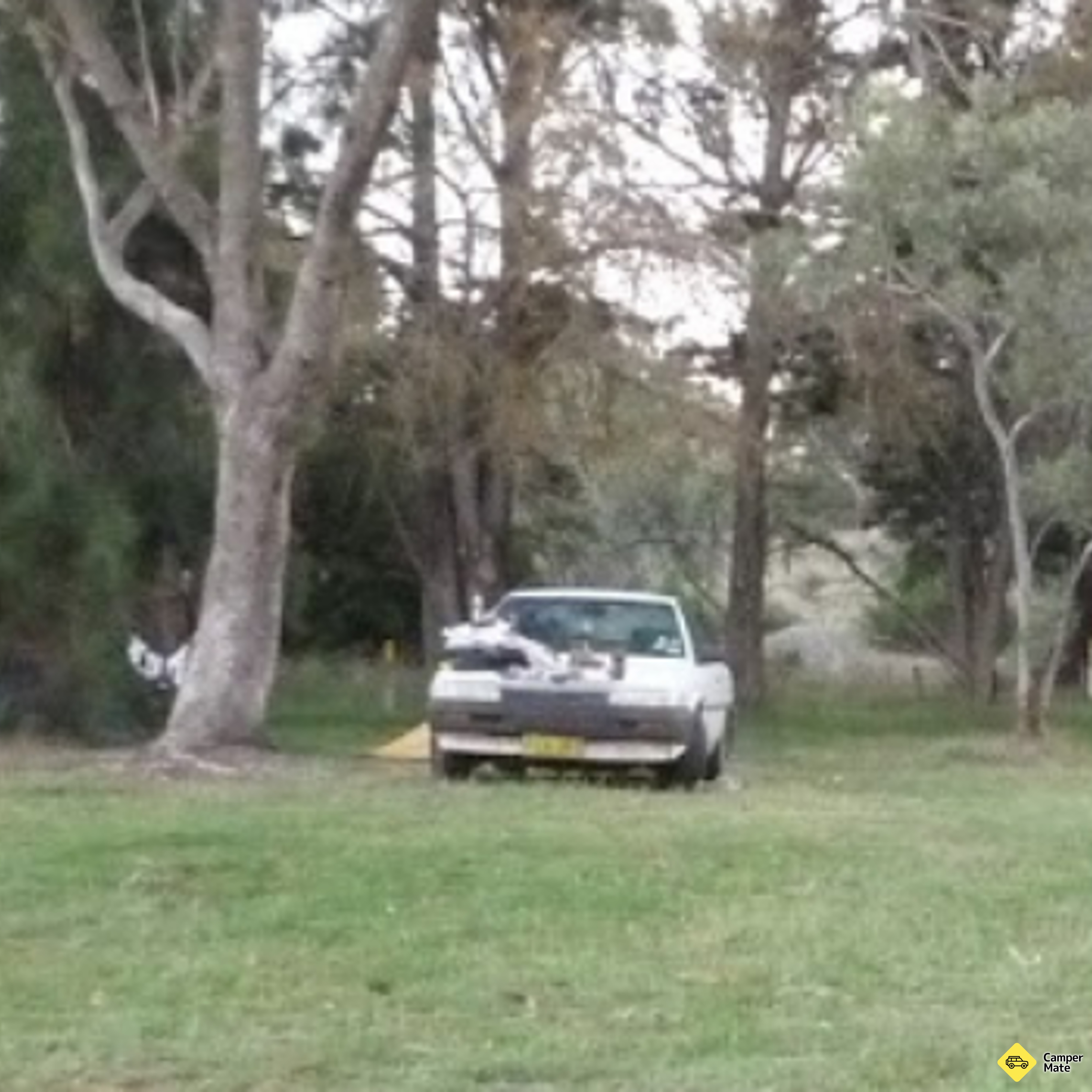 Murray Recreation and Caravan Park - Image 2