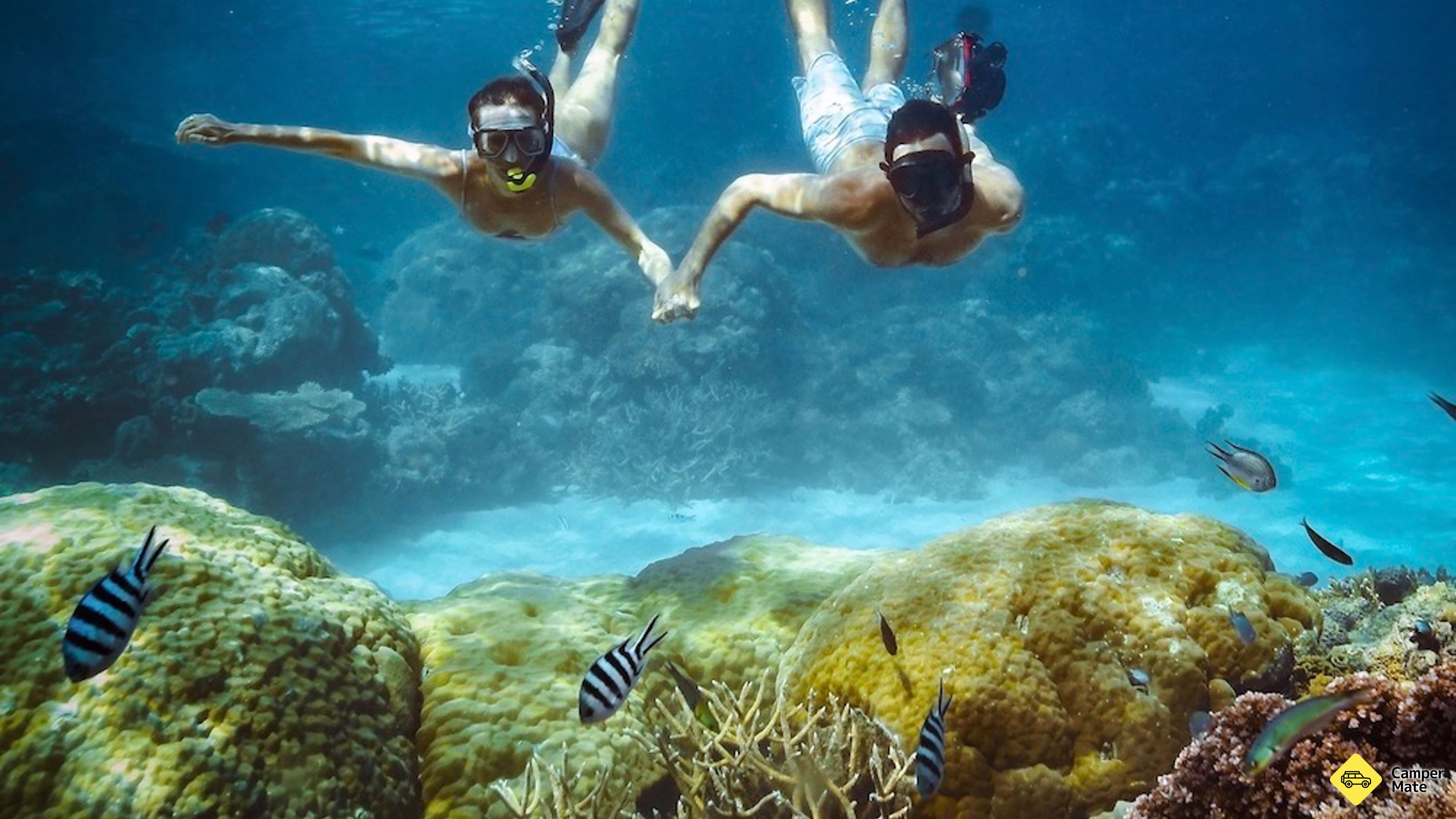 Velký bariérový útes Snorkeling a potápění