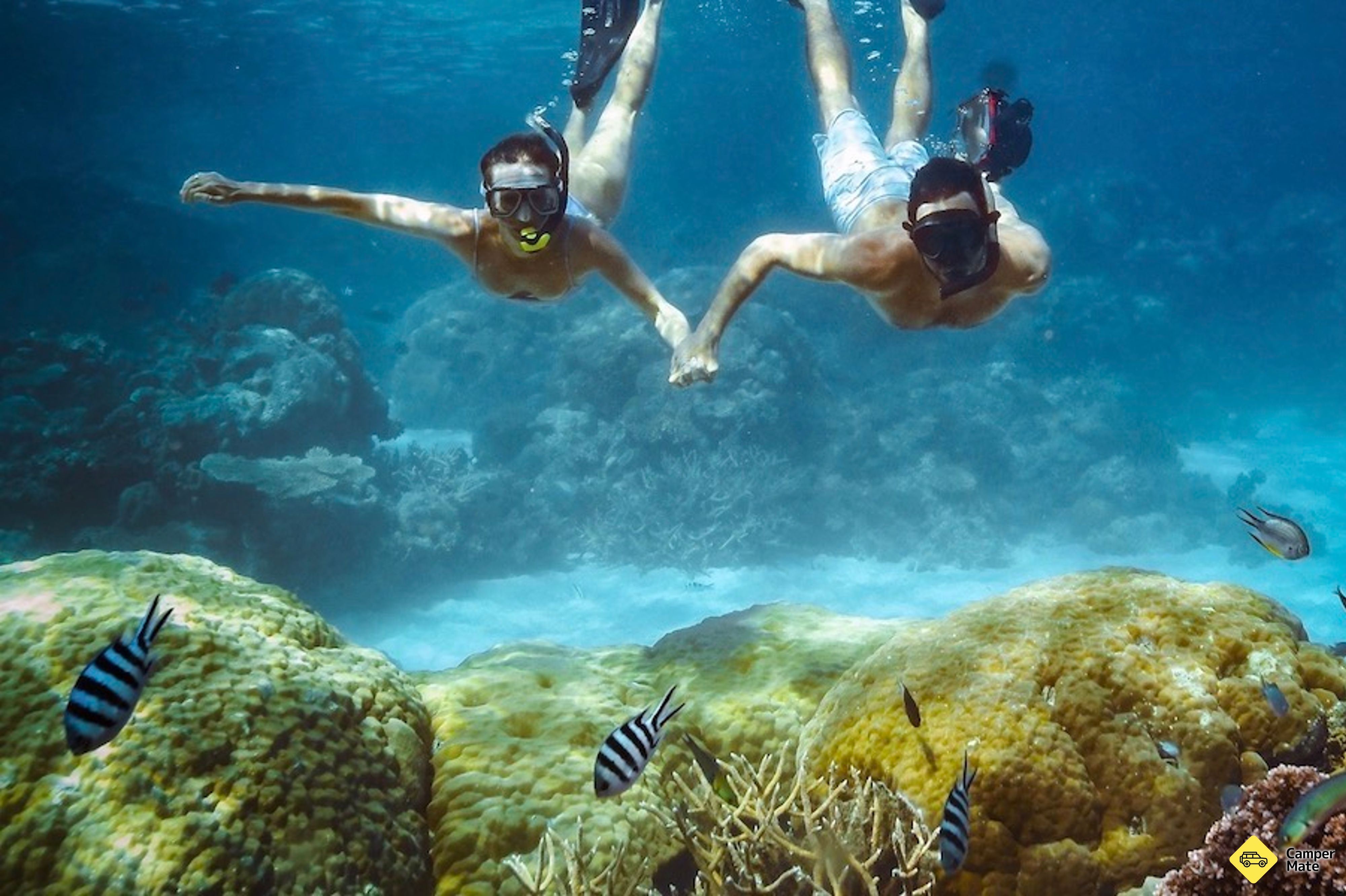 Velký bariérový útes Snorkeling a potápění