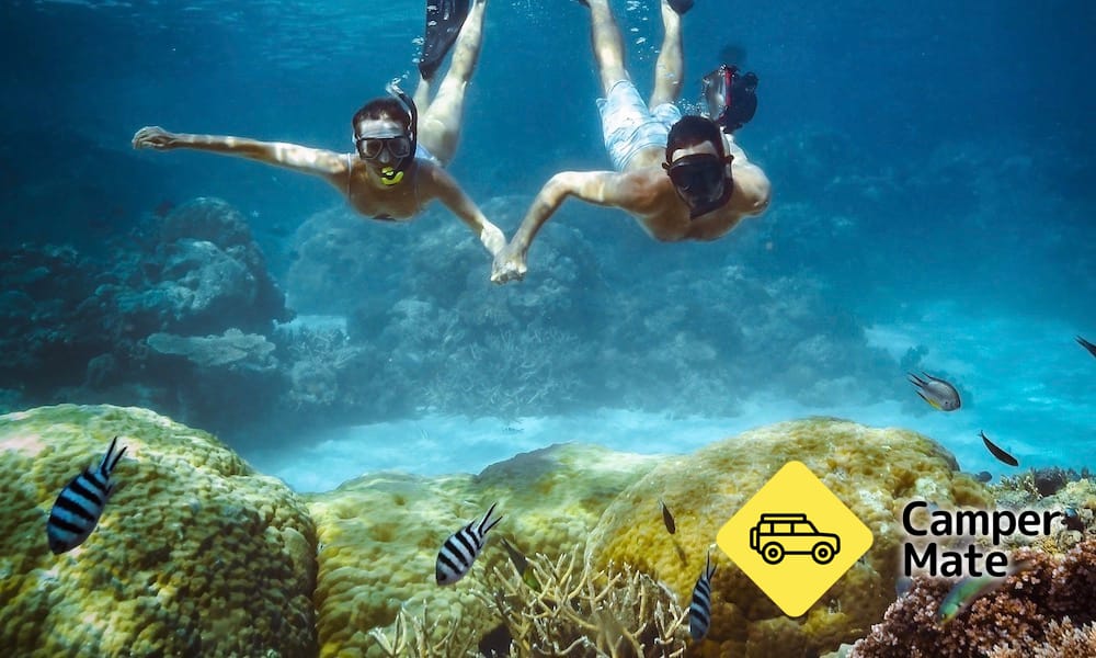 Great Barrier Reef Snorkel and Dive Cruise