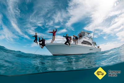 Live Ningaloo