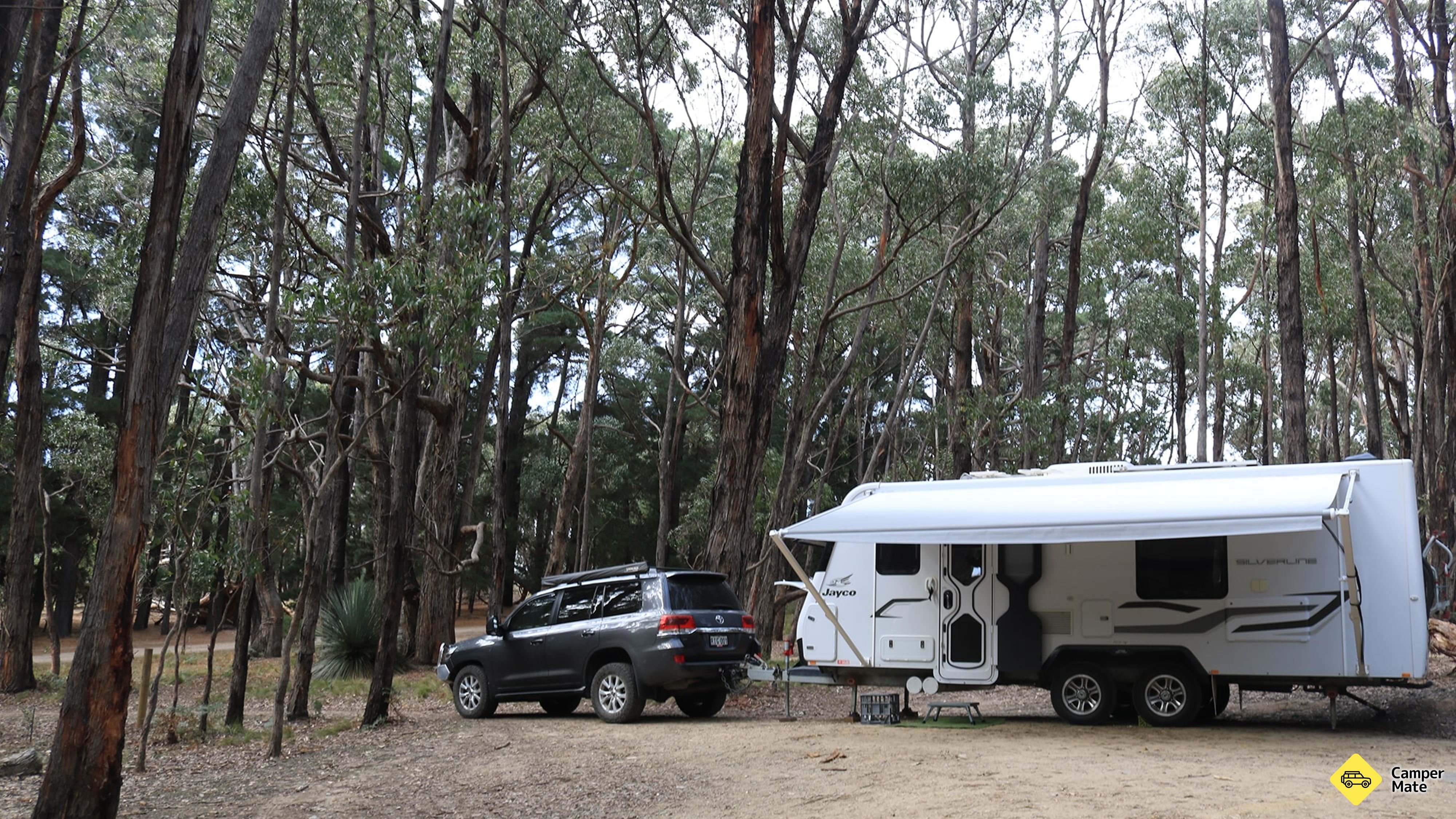 Le camping de Stringybark