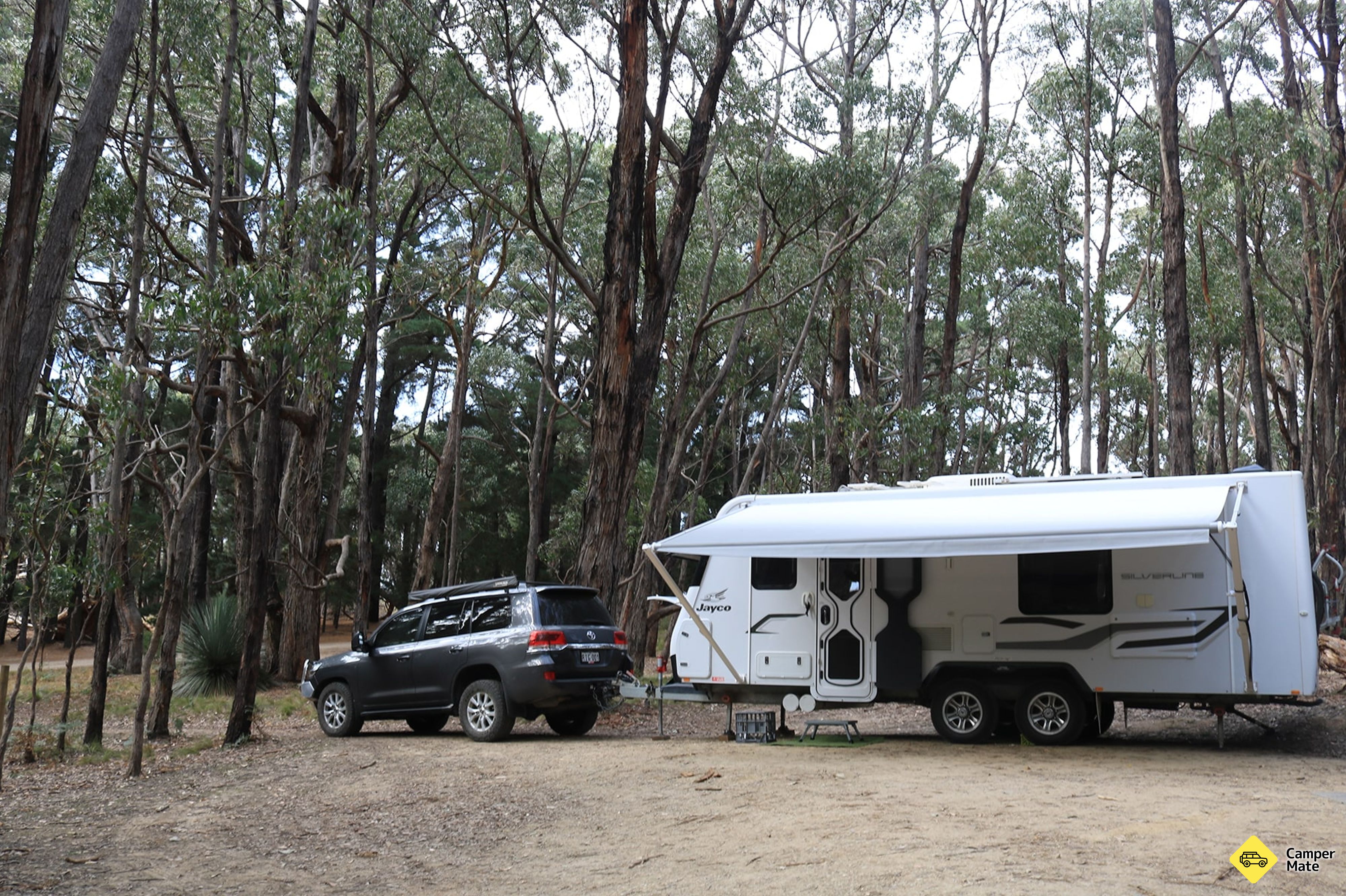 Le camping de Stringybark