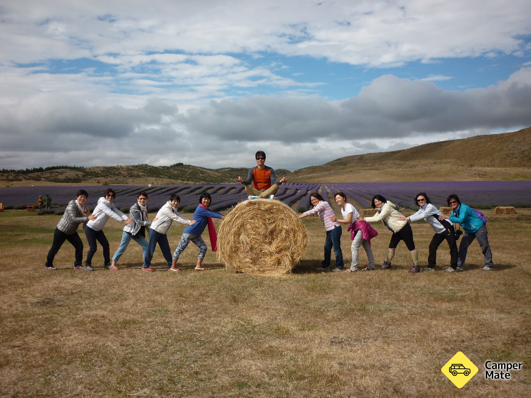 NZ Alpine Lavender Farm - Image 3