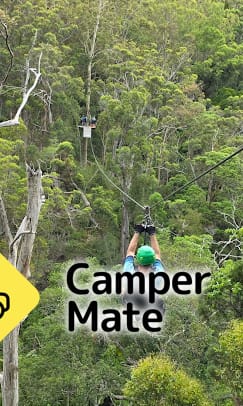 TreeTop Challenge - Tamborine Mountain - Image 3
