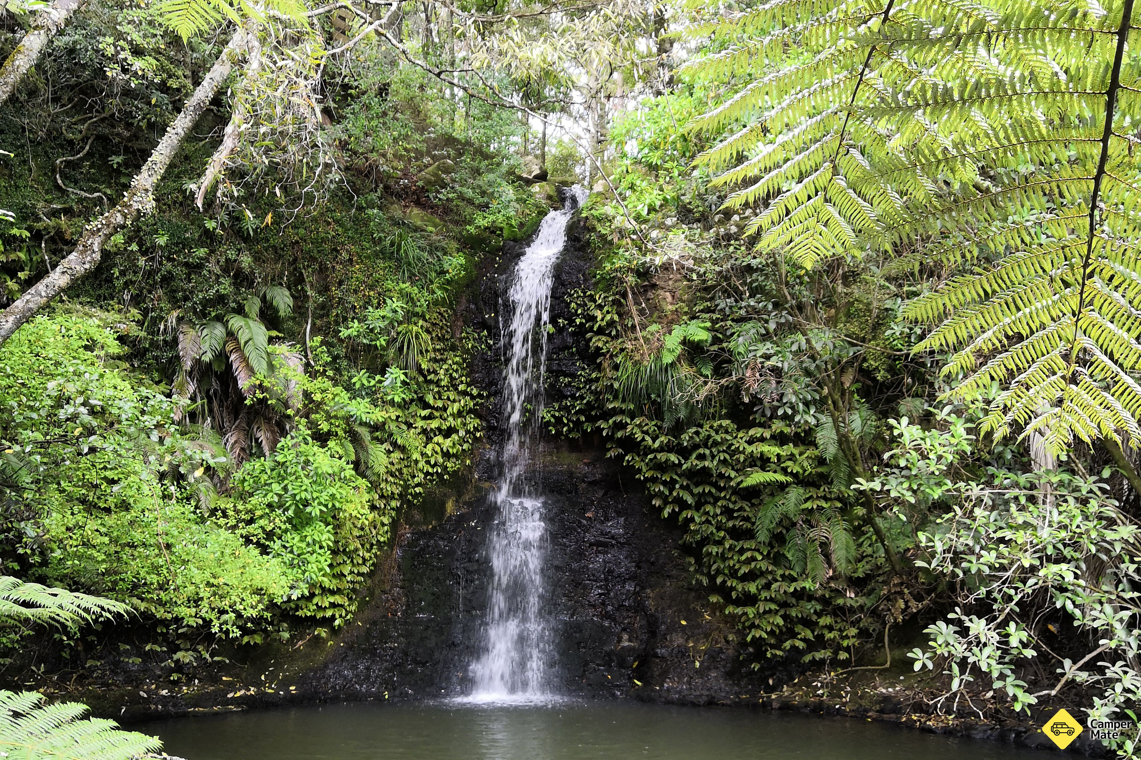 Omeru Falls Track - Image 2