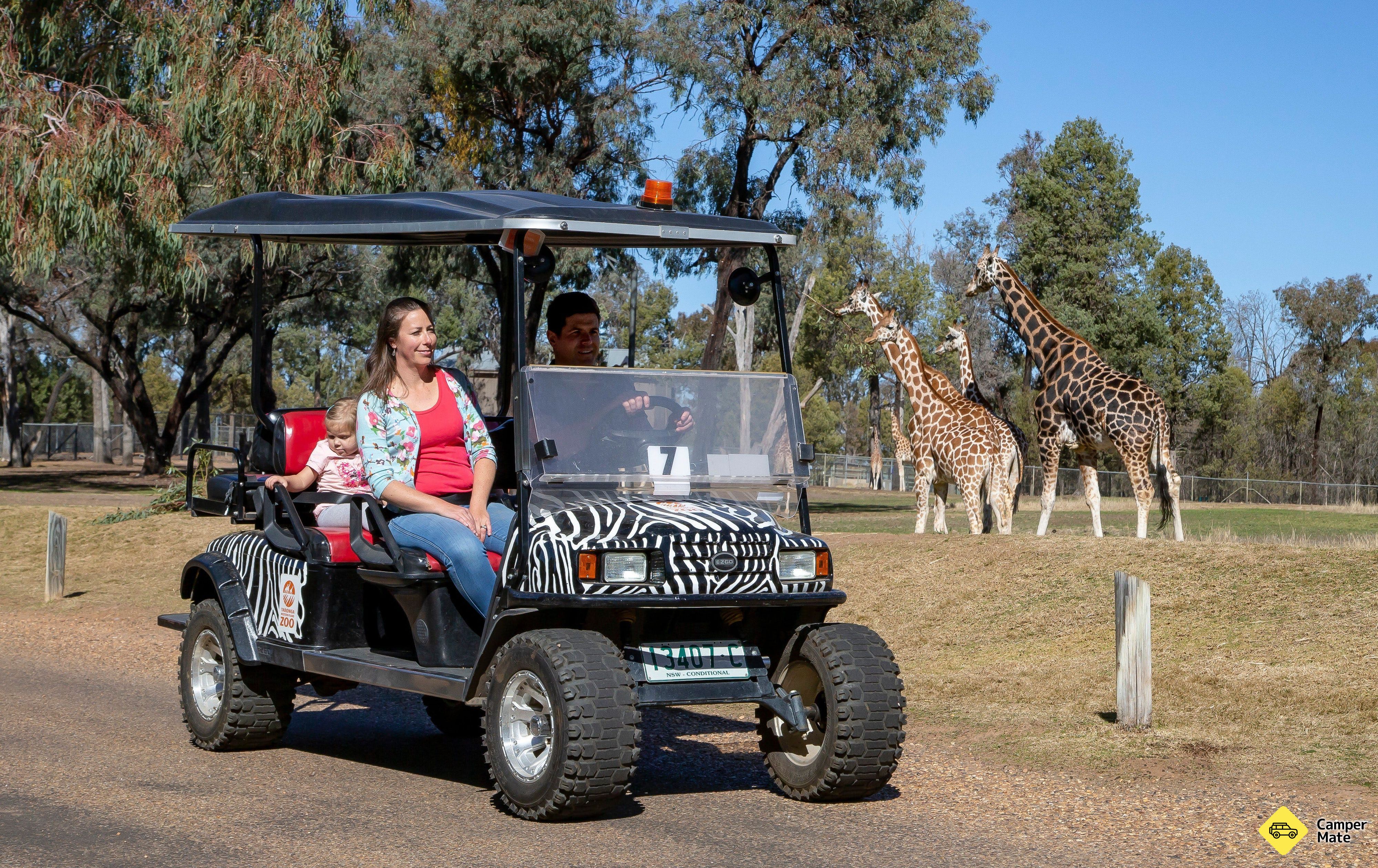 Aktivitäten in der Nähe von Taronga Western Plains Zoo - Image 3