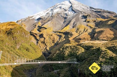 Manganui Gorge Track and Suspension Bridge
