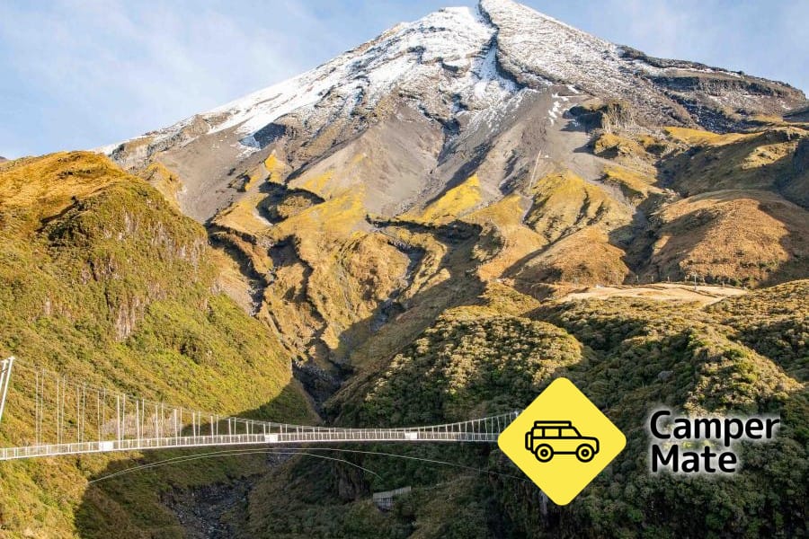 Manganui Gorge Track and Suspension Bridge