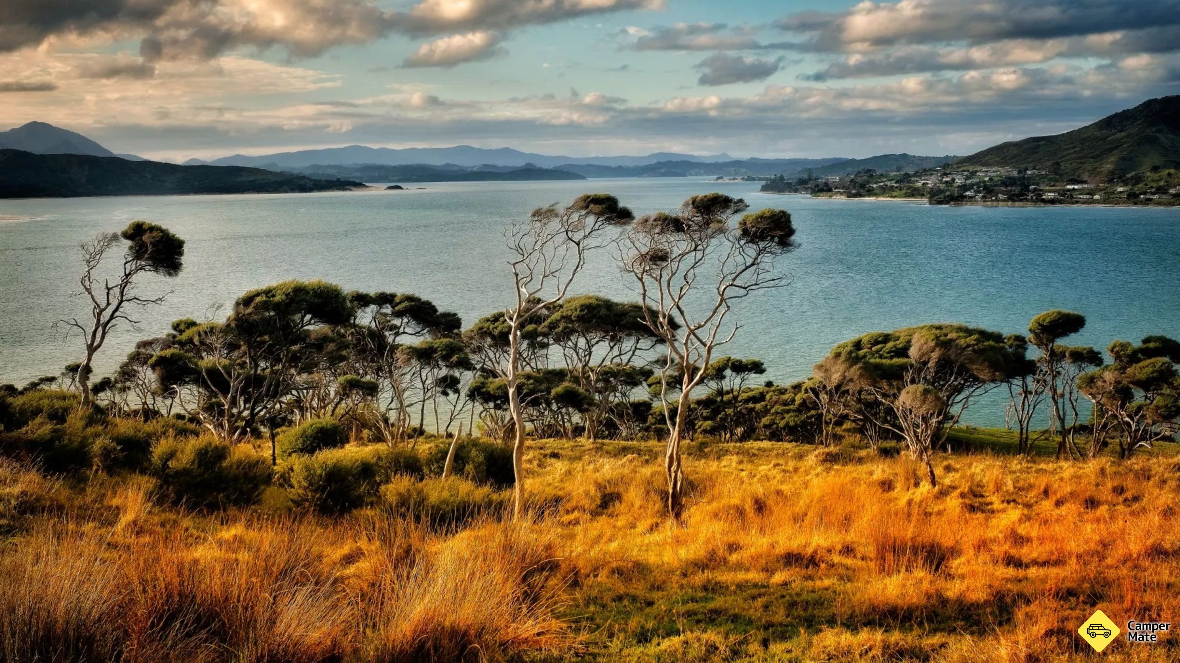Hokianga Harbour