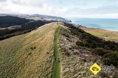 Tiromoana Bush Walk