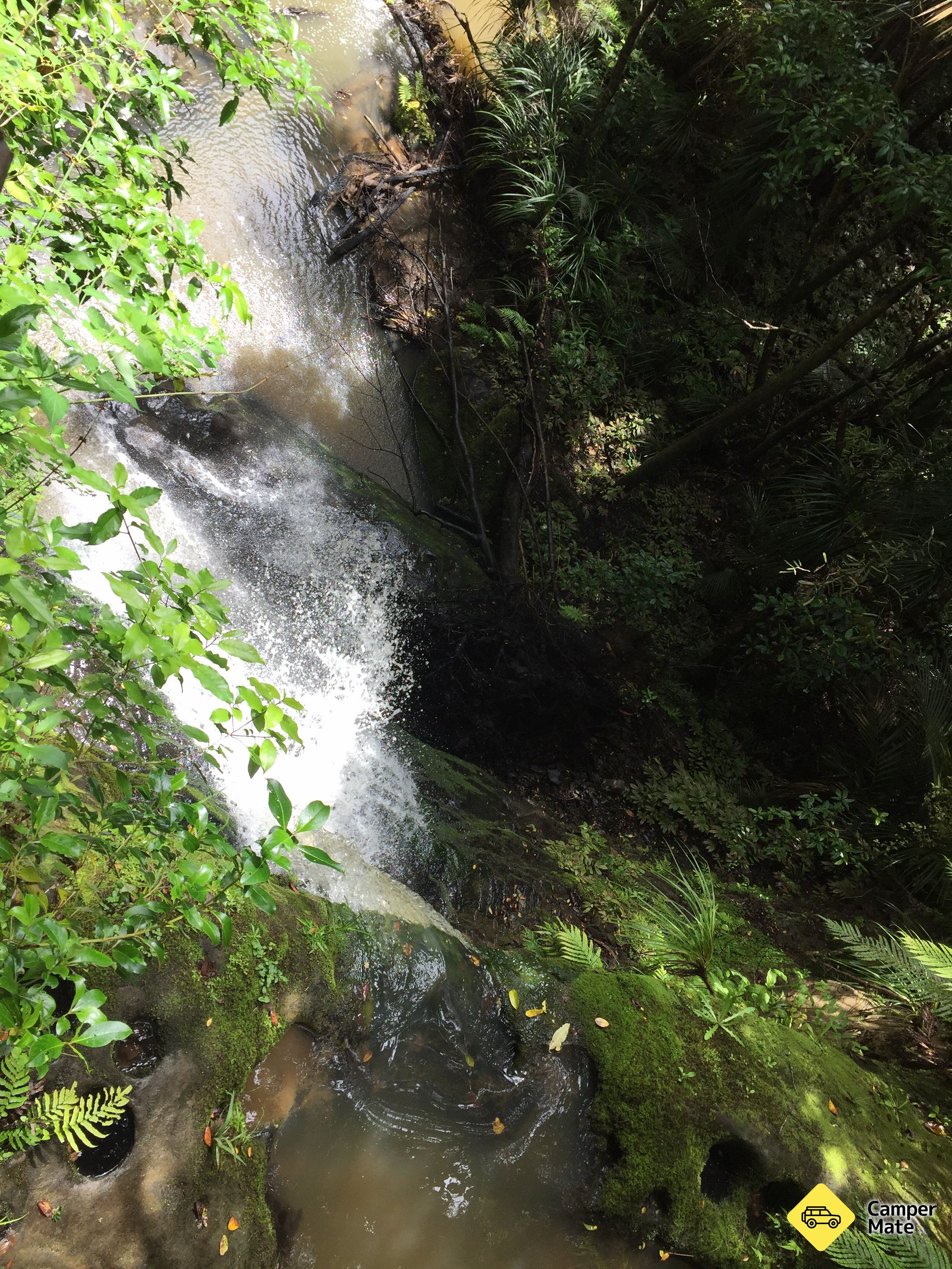 Moirs Hill Walkway - Image 3