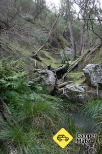 Black Mountain Nature Reserve