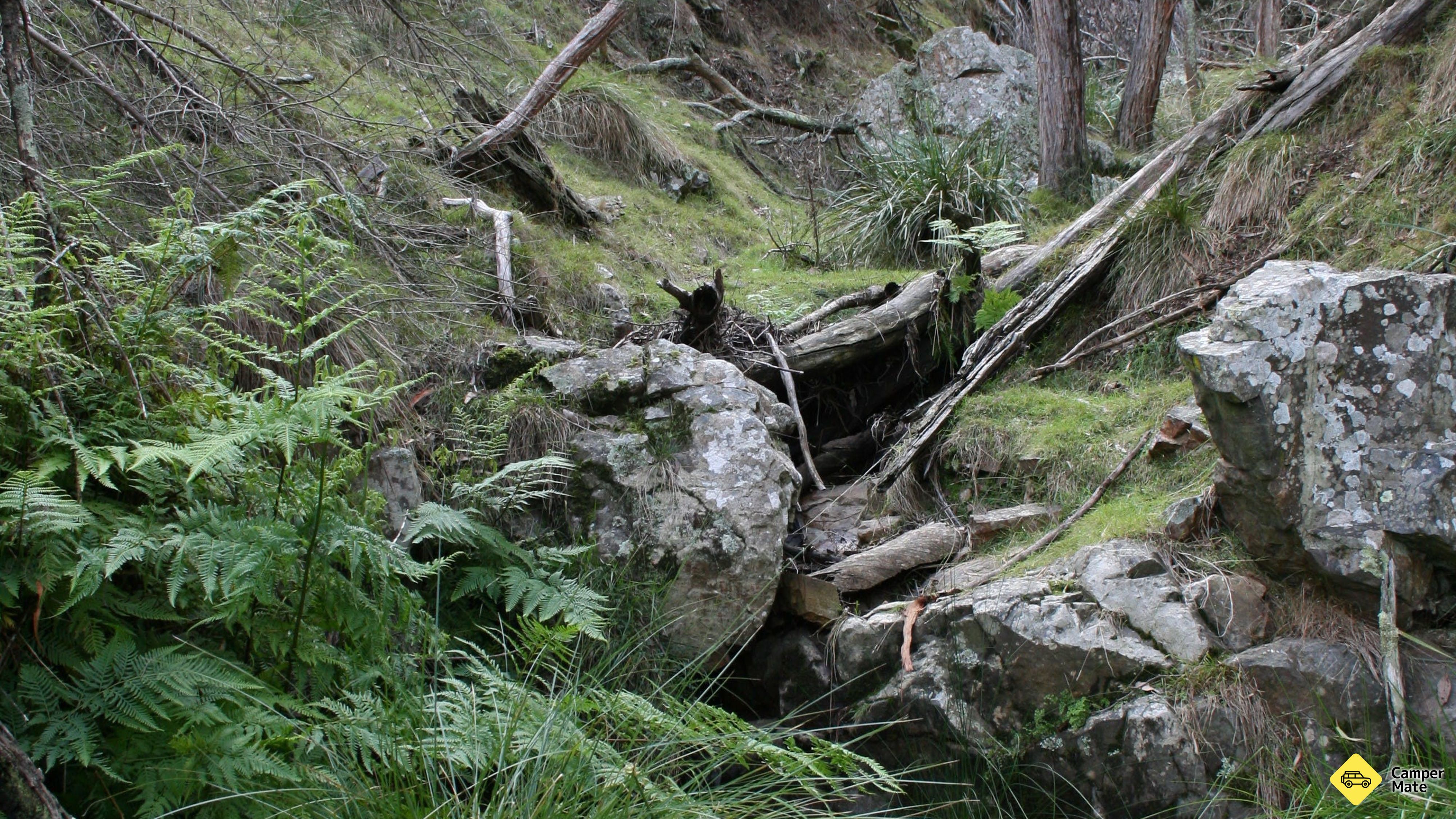 Black Mountain Nature Reserve