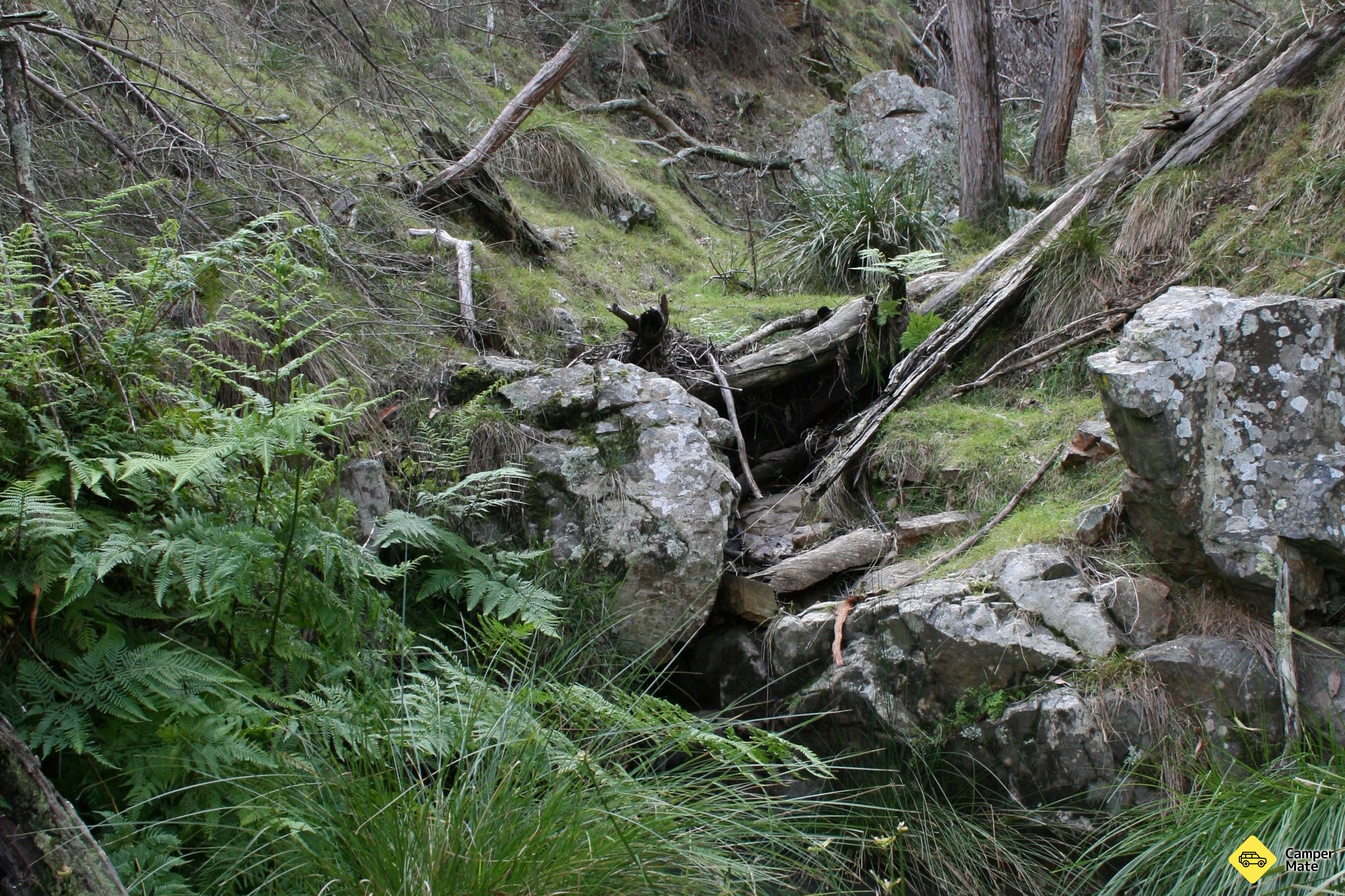 Black Mountain Nature Reserve