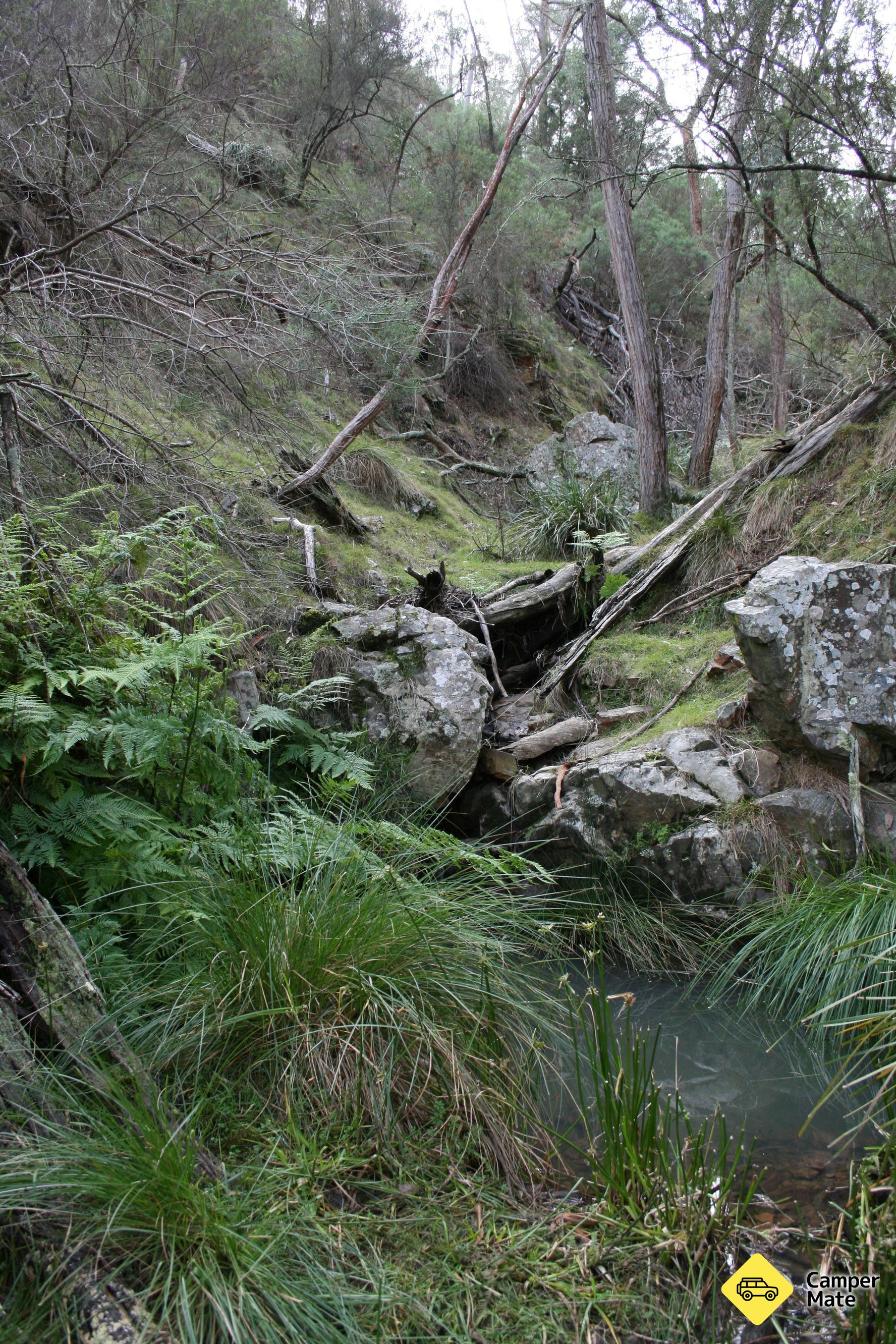 Black Mountain Nature Reserve