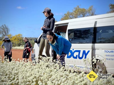 D'Guy Journeys