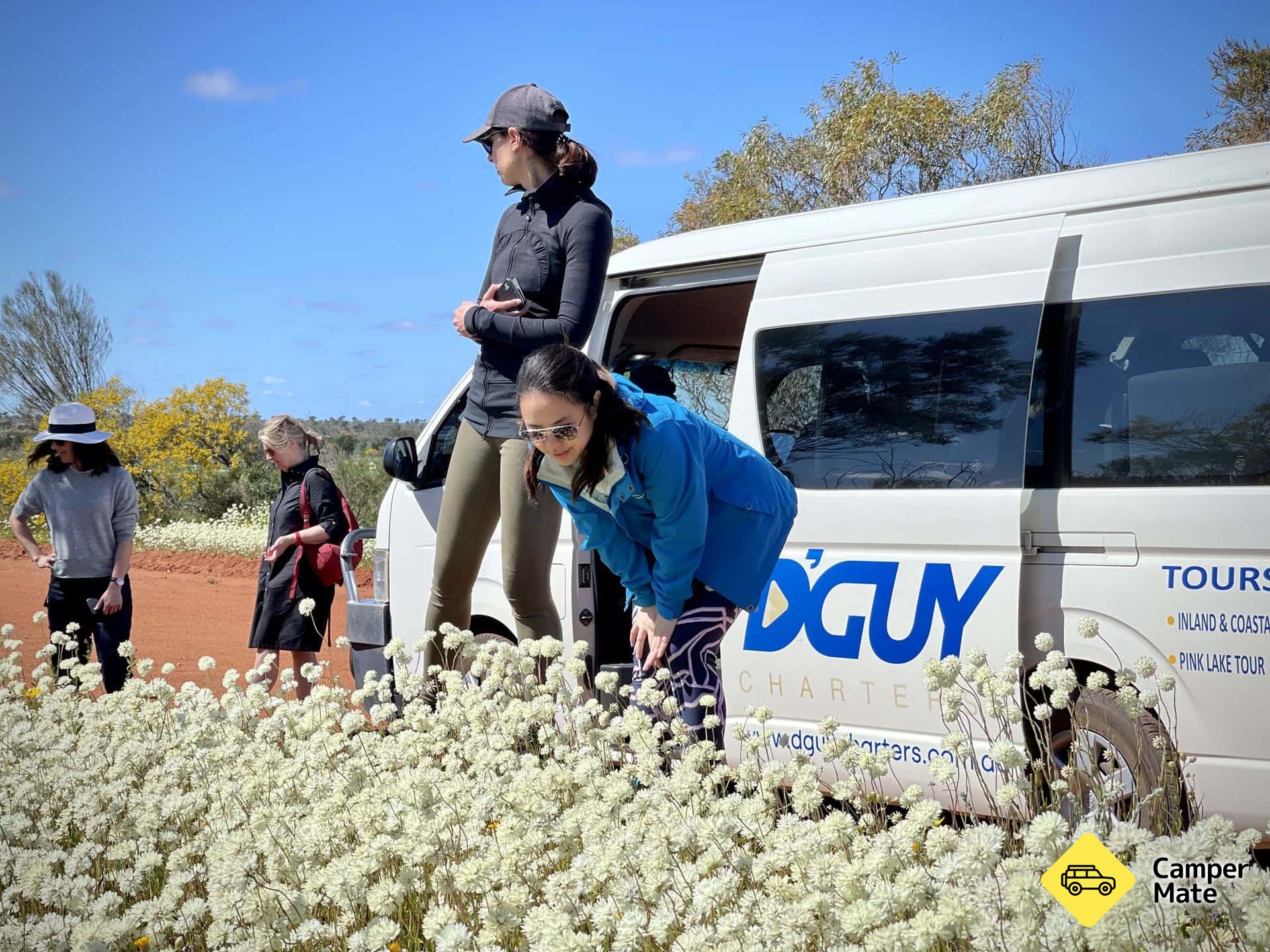 D'Guy Journeys