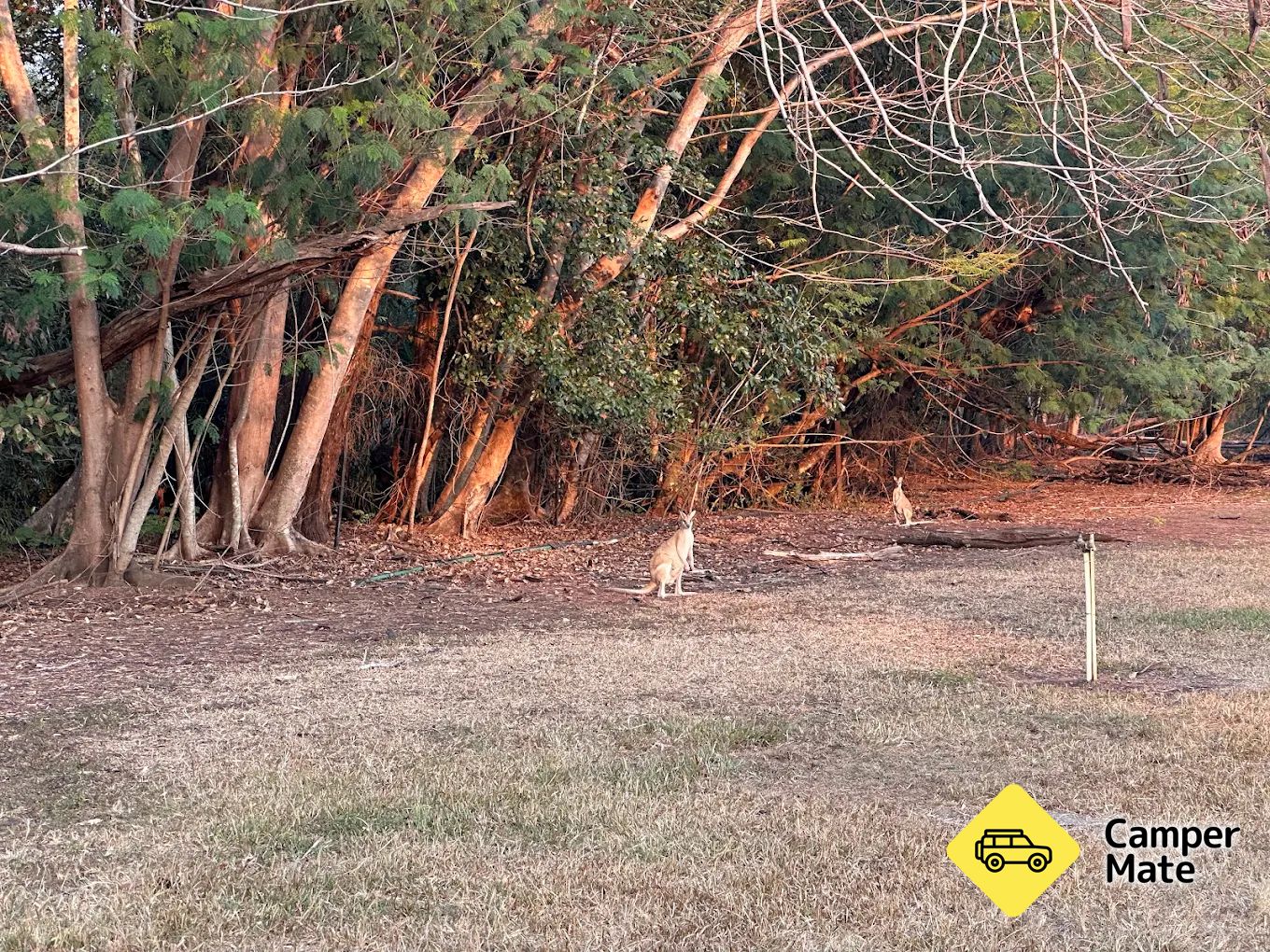 Coomalie Creek Tourist Park - Image 2