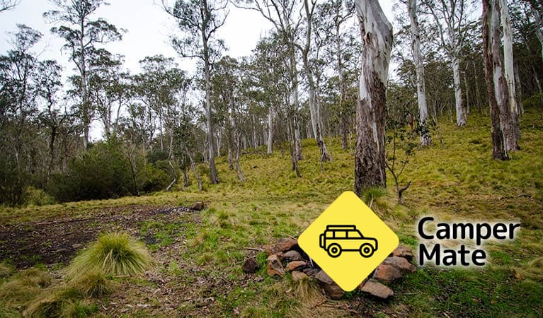 גומי פולס Campground - Image 2