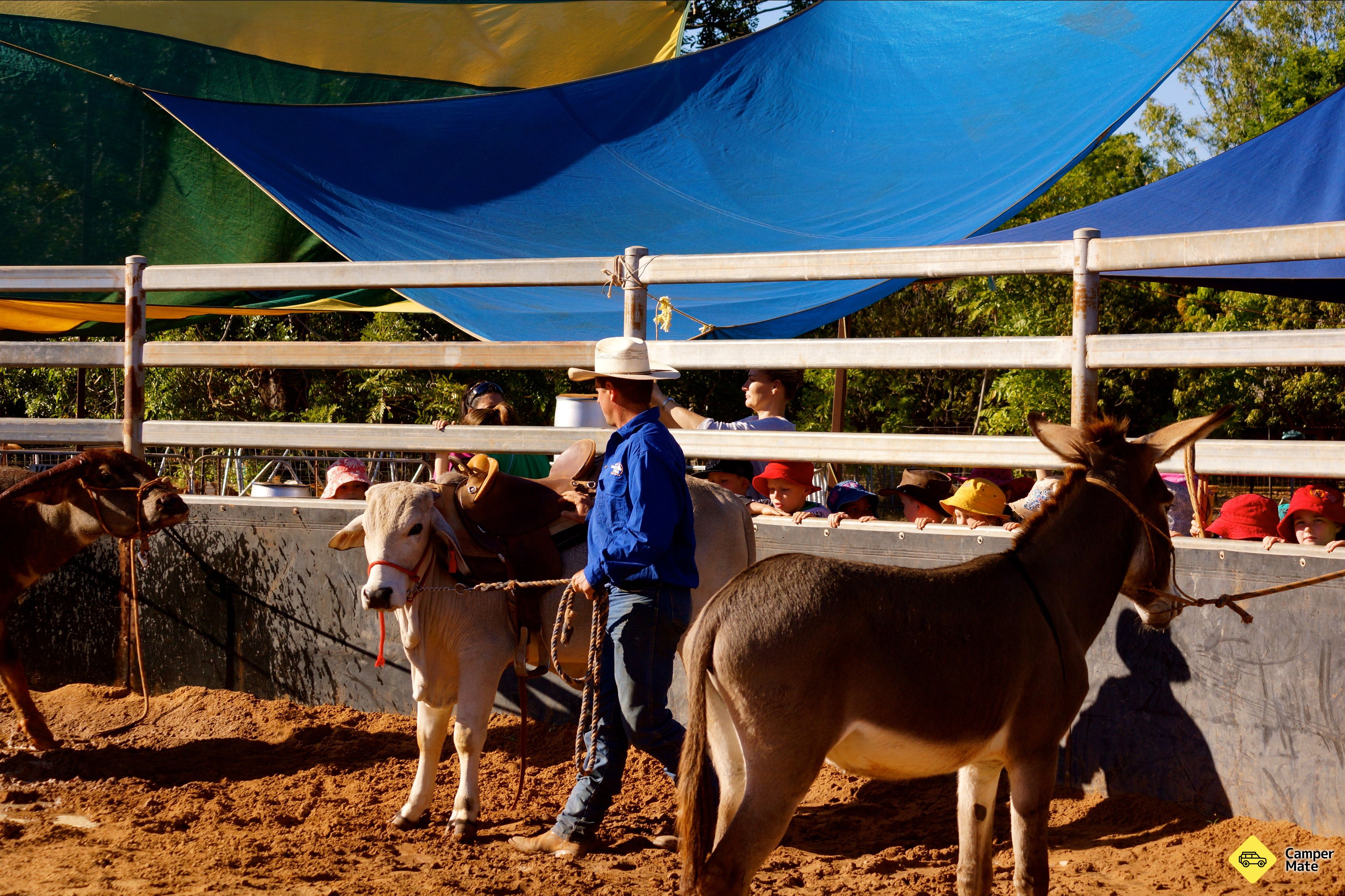 Katherine Outback Experience Show(キャサリン・アウトバック) - Image 3